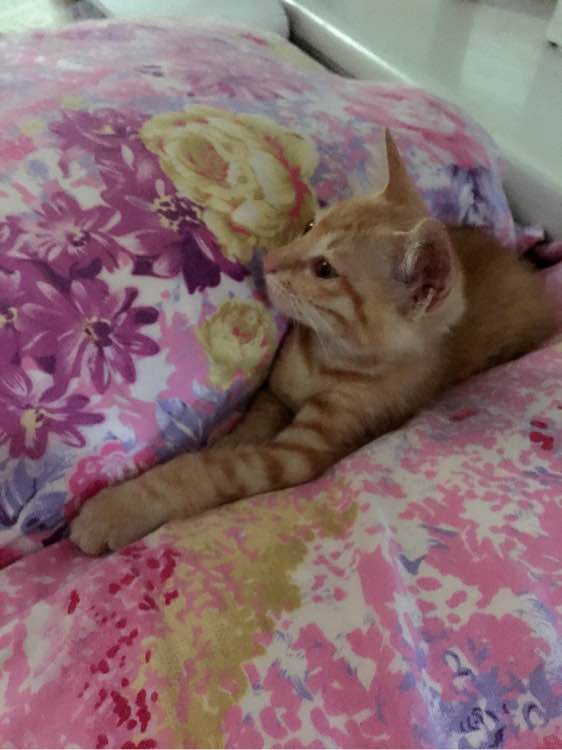 beat365亚洲体育官方网站