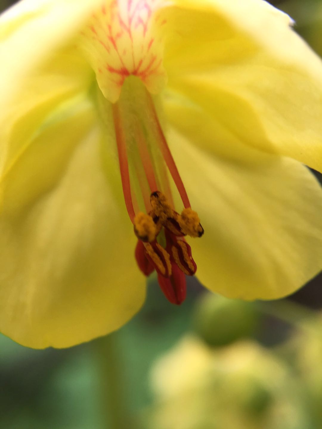 江湖风云录听曲任务怎么做 洛阳隐藏任务听曲任务解析-beat·365(图1) beat·365