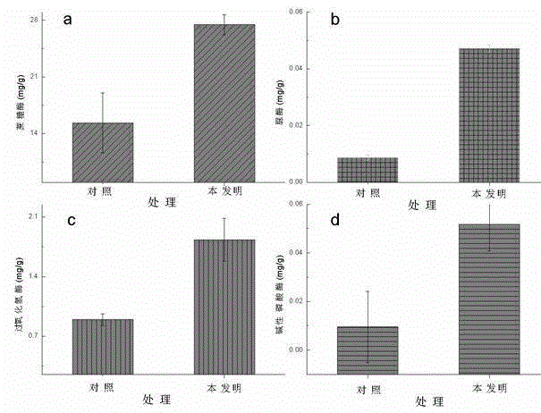 邓卓翔点球绝杀国足1-0马其顿热身赛取三连胜“beat365官网”(图1) beat·365