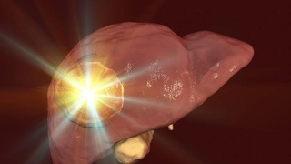 beat365亚洲体育官方网站