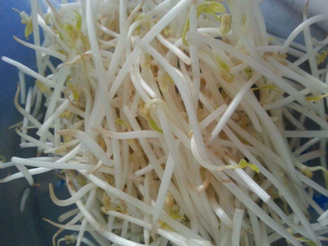 beat365亚洲体育官方网站