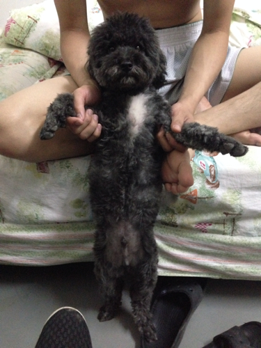 【beat·365】华为入局汽车产业 将会把汽车带向何方？