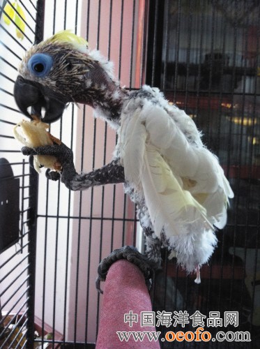 beat365亚洲体育官方网站