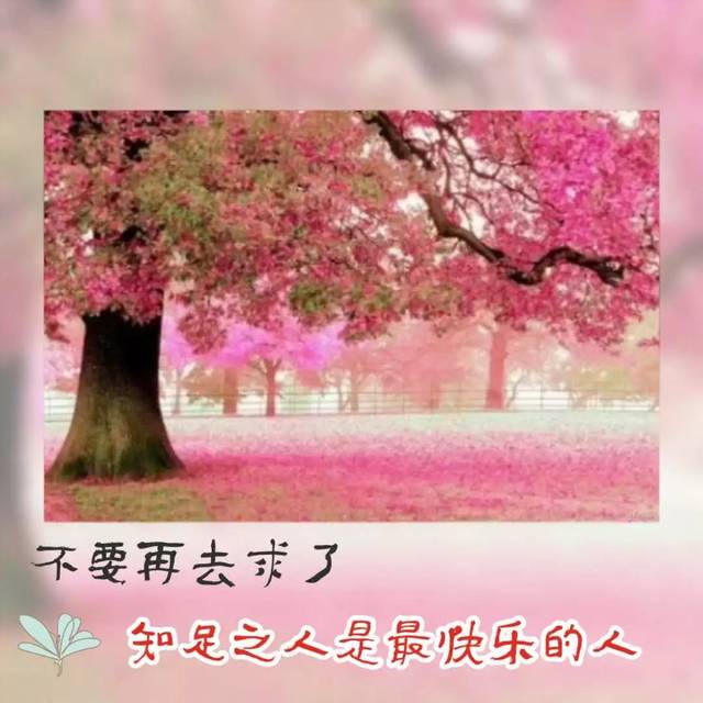 beat365亚洲体育官方网站