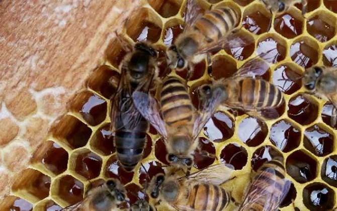 beat365亚洲体育官方网站