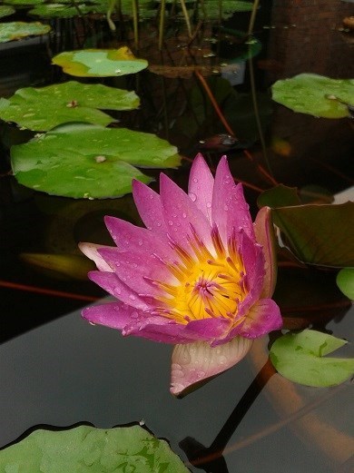 U-20女足世界杯抽签揭晓中国与德国、尼日利亚、海地同组_beat365官网(图3) beat·365