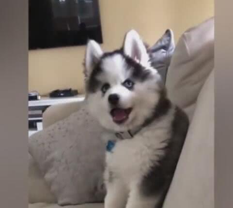 2020最火减龄超短发(25)款【beat365官网】(图26) beat365官网