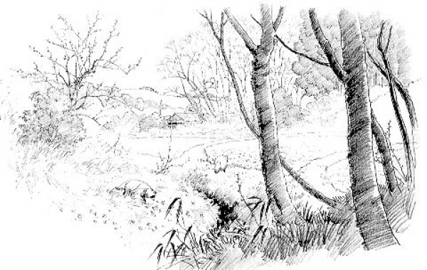 beat365亚洲体育官方网站