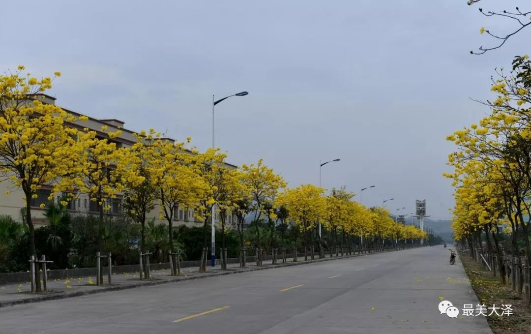 beat365官网|龙族幻想清洁工作异闻攻略 清洁工作异闻怎么接(图2) beat365亚洲体育官方网站