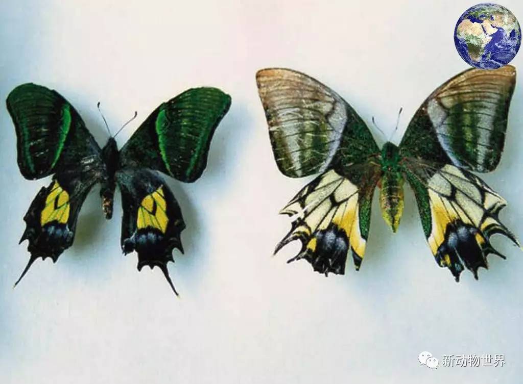 beat365官网:丰大种业举办科企合作论坛(图3) beat365官网