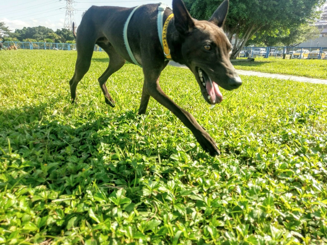 beat365亚洲体育官方网站