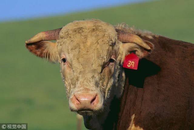 beat365亚洲体育官方网站:税率仍为10% 车辆购置税法公开征求意见(图1) beat365亚洲体育官方网站