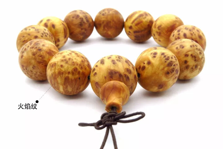 beat365亚洲体育官方网站-口袋之旅钢龙mega 帝牙卢卡属性全面解析(图3) beat·365